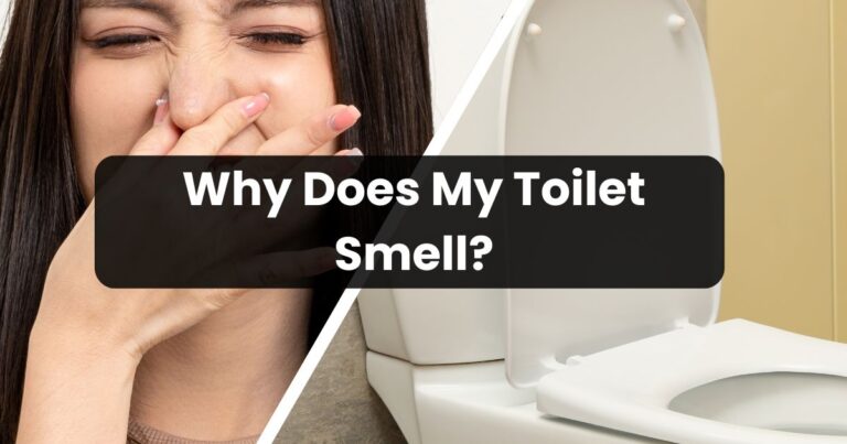 Why Does My Toilet Smell? Causes and Solutions